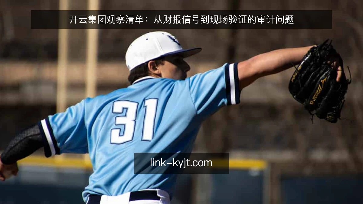 开云集团观察清单：从财报信号到现场验证的审计问题
